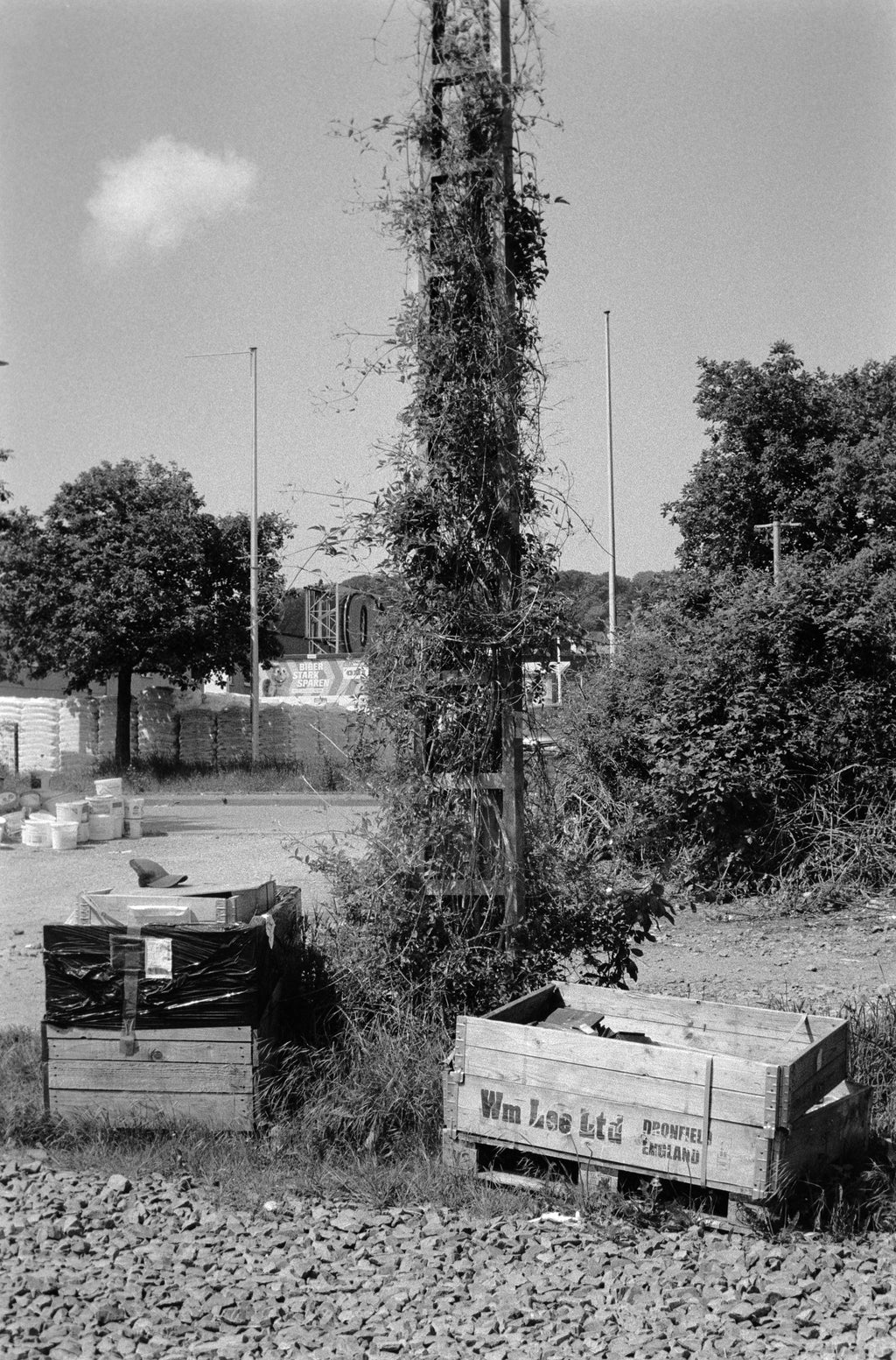 DOPPELKORN 250